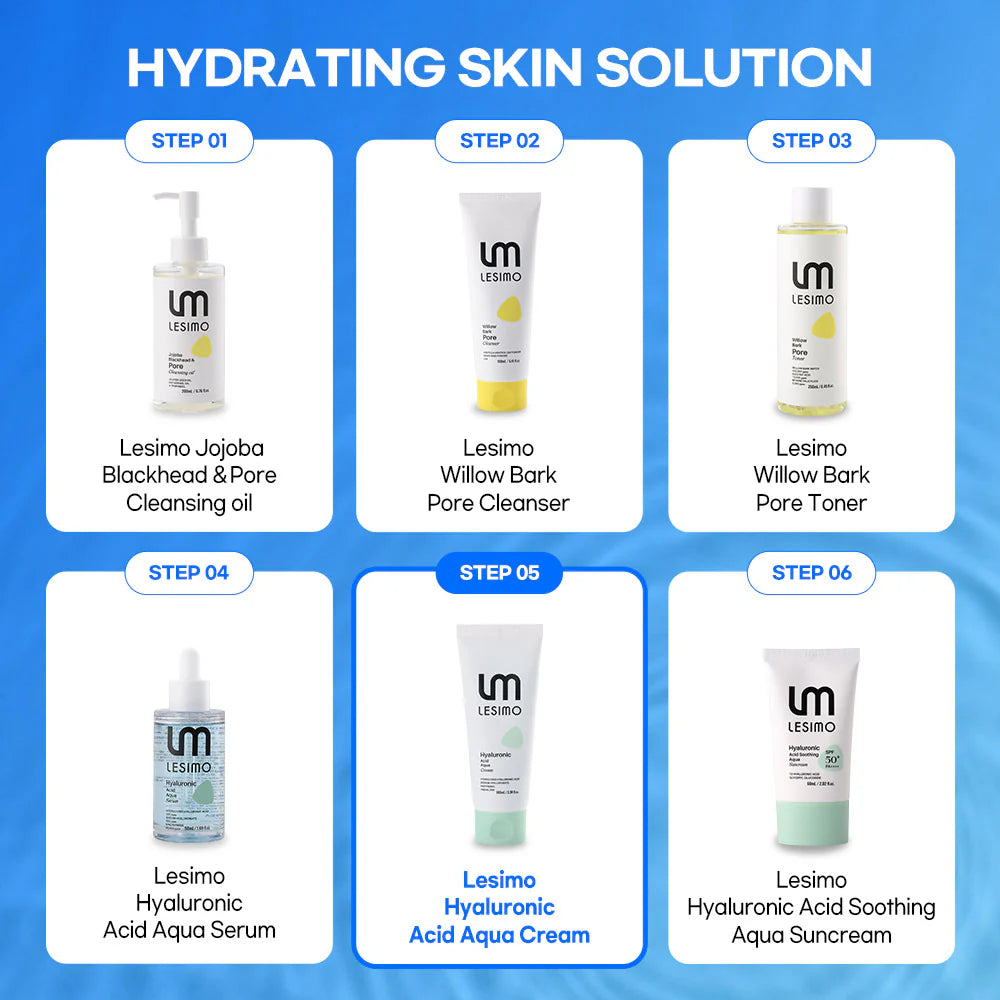 Lesimo Hyaluronsäure-Aqua-Creme, Tiefenhydratation, Stärkung der Hautbarriere, leichte Feuchtigkeitscreme / vegan und tierversuchsfrei, 100 ml