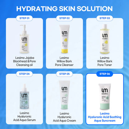 Vegan Lesimo Hyaluronsäure Beruhigende Aqua-Sonnencreme (LSF 50+, PA++++), Sonnencreme für den täglichen Gebrauch, UV-A- und UV-B-Schutz, unsichtbare koreanische Sonnencreme für das Gesicht ohne weißen Film, 60 ml
